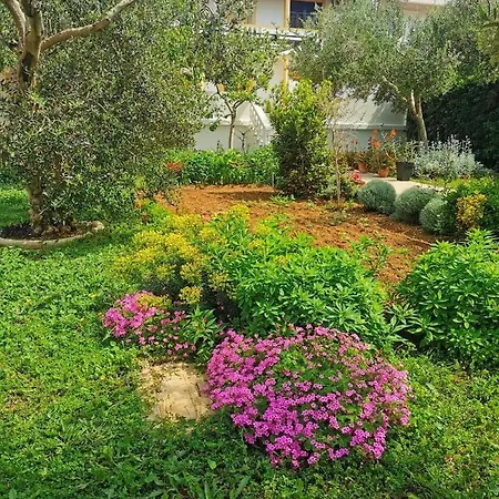 Apartman Sanja Povljana